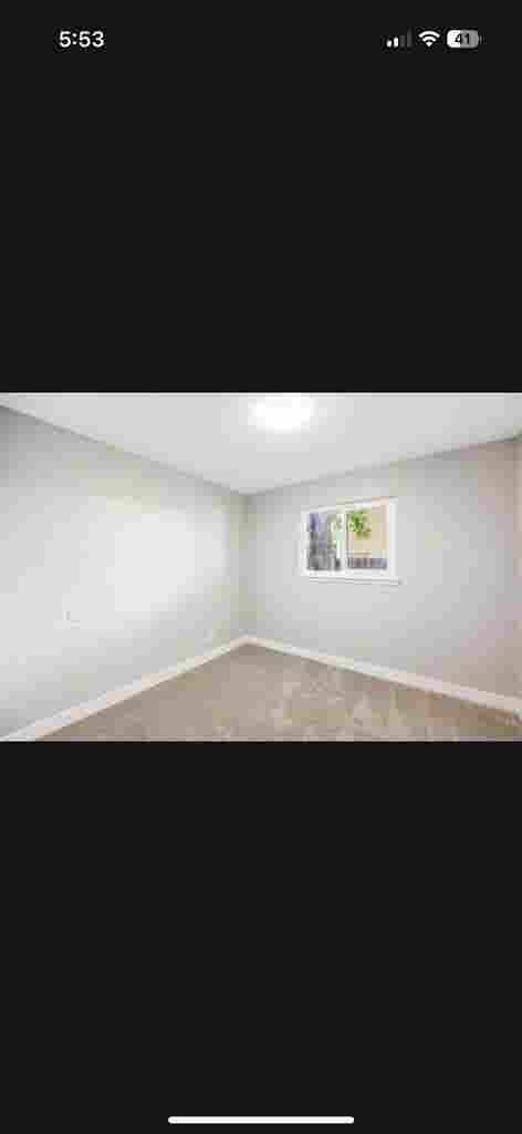 Looking for a roommate
