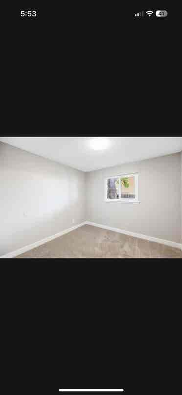 Looking for a roommate