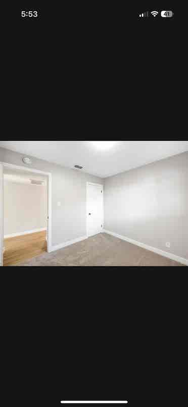 Looking for a roommate
