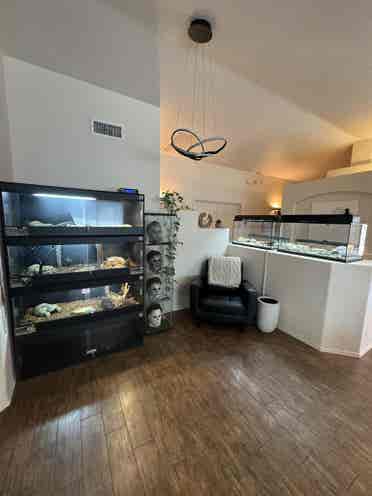 Room for rent Marana!