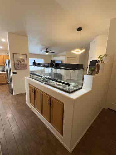 Room for rent Marana!