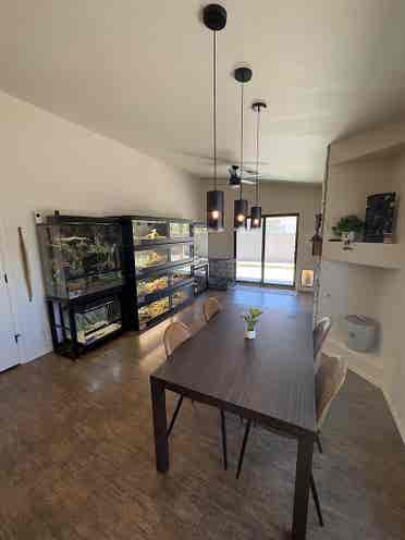 Room for rent Marana!