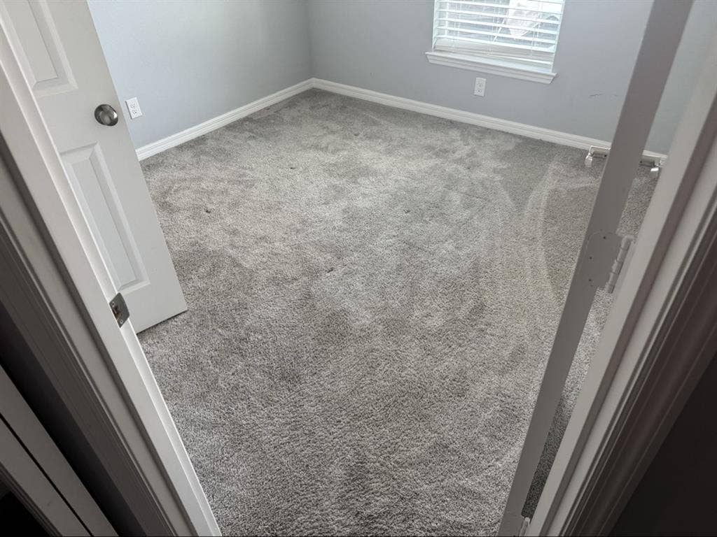 Looking for a laidback roommate!