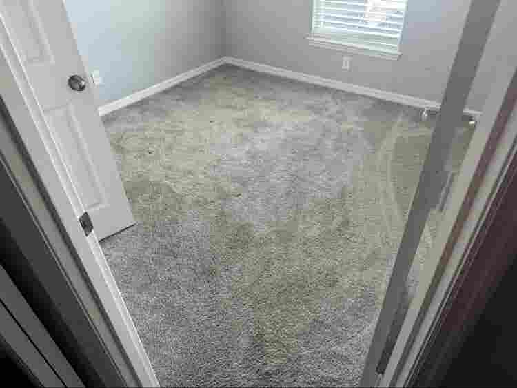 Looking for a laidback roommate!