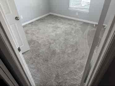 Looking for a laidback roommate!