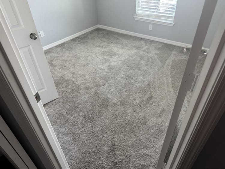Looking for a laidback roommate!