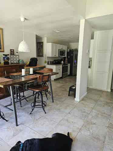 Looking for a great roommate