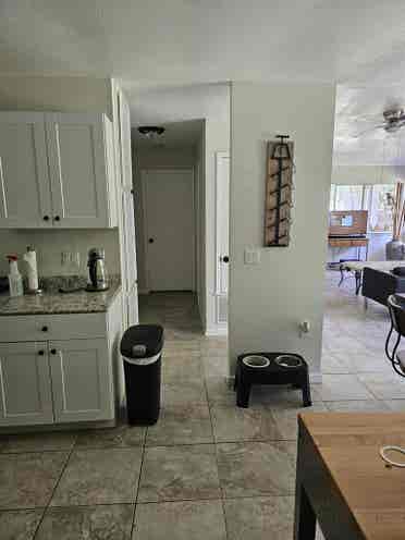 Looking for a great roommate