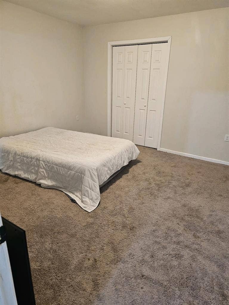 Looking for a great roommate
