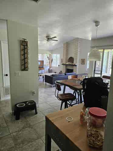 Looking for a great roommate