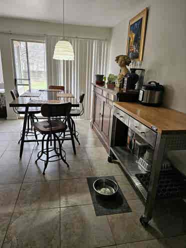 Looking for a great roommate