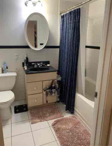 Chill, Clean Roommate Wanted