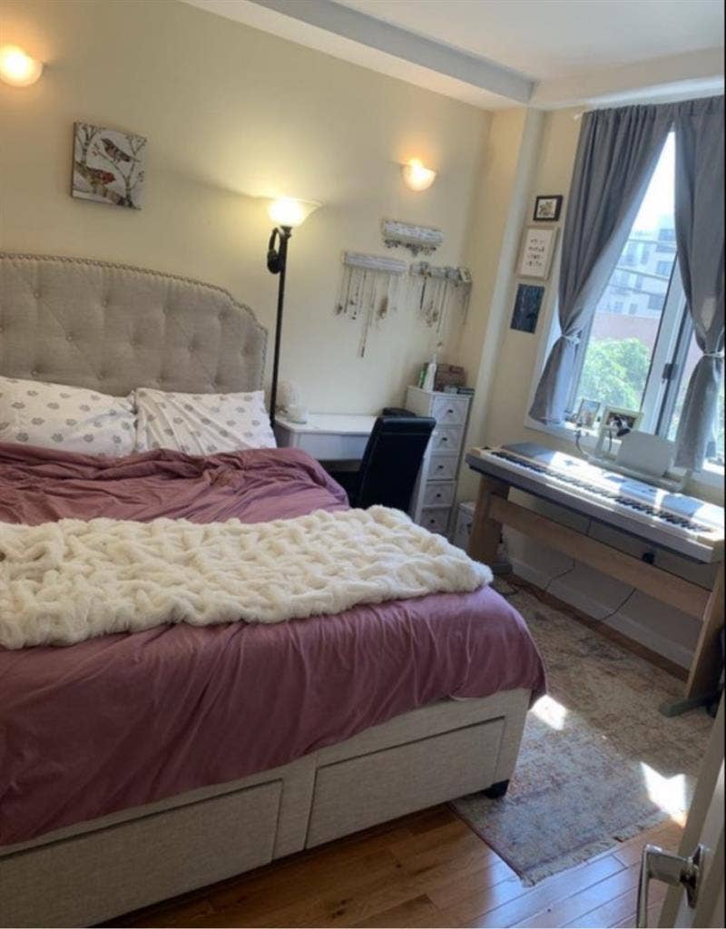 Chill, Clean Roommate Wanted