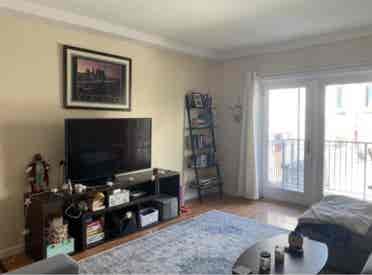 Chill, Clean Roommate Wanted