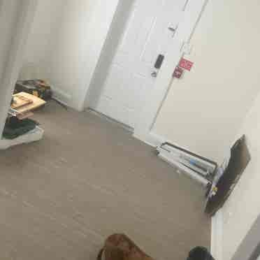 Roommate wanted