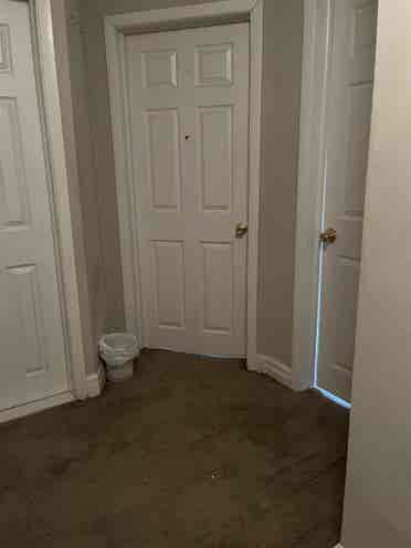 Two rooms for rent!