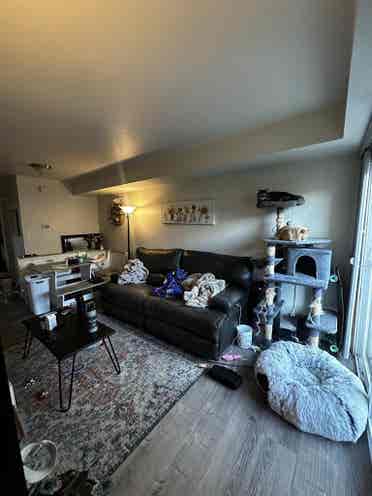 Furnished room for rent!