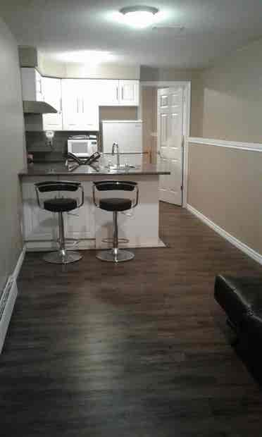 One bedroom basement suite for rent