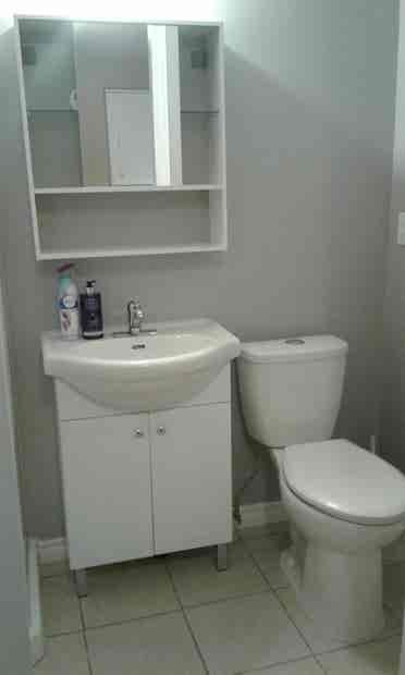 One bedroom basement suite for rent