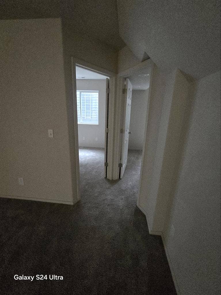 Basement for rent