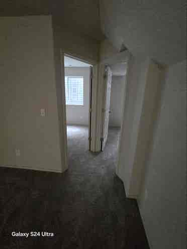 Basement for rent