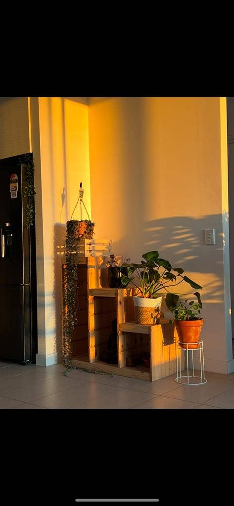 Looking for a single
flatmate