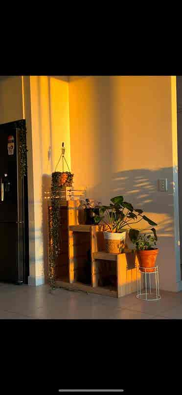 Looking for a single
 flatmate