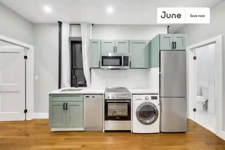 1 BR in New York City