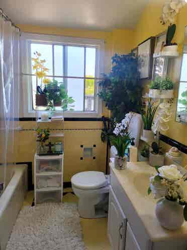 Spacious Rooms Albany Utilities Inc