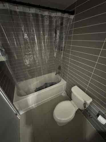 Sublet a Stunning Loft  Bath