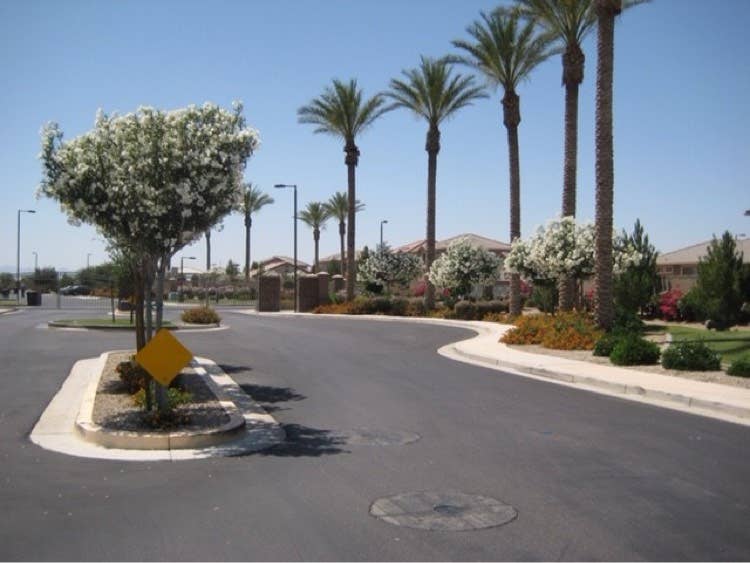 Looking for Roommate-Chandler