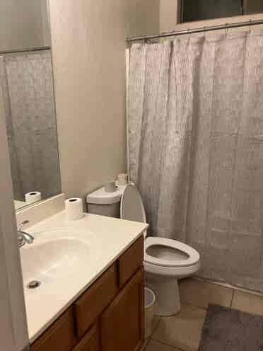 Looking for Roommate-Chandler