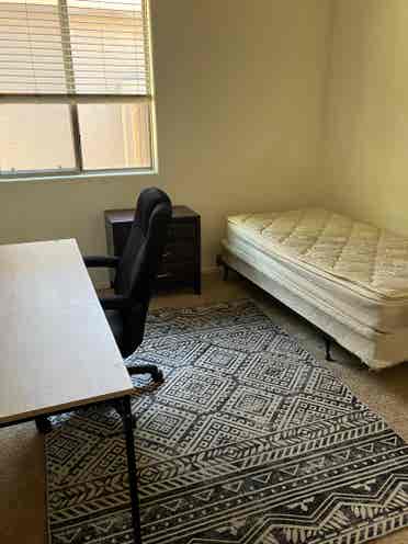 Looking for Roommate-Chandler