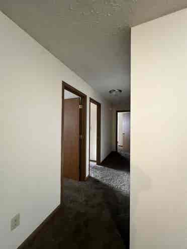 Spacious Br Apt ~/person