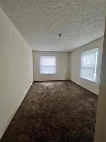 Spacious Br Apt ~/person