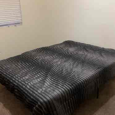 Private Room and Bathroom for rent