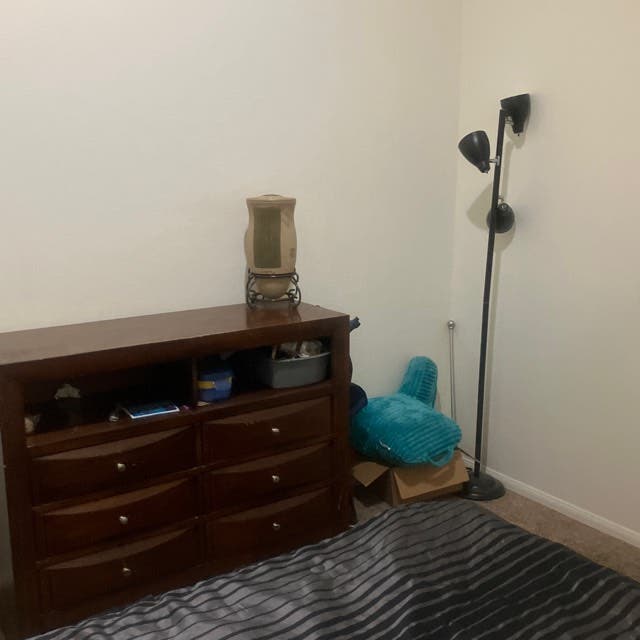 Private Room and Bathroom for rent