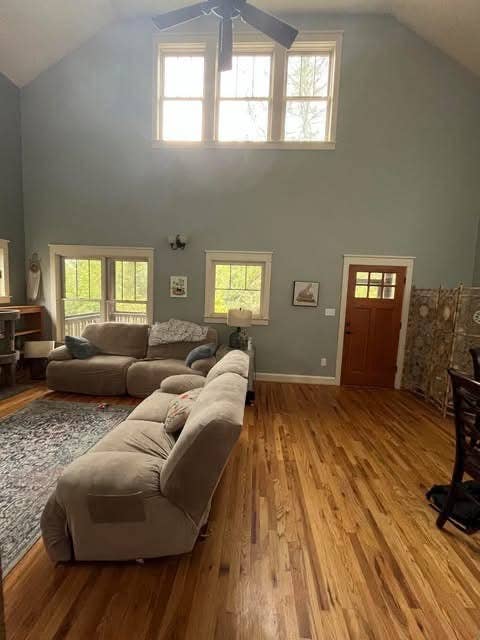 New Listing