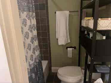 Room in Avl, near downtown