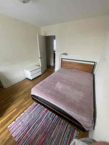 Looking for the FEMALE roommate