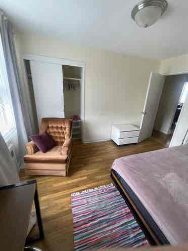 Looking for the FEMALE roommate