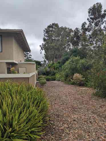 La Jolla(Private Room) - July 1st.