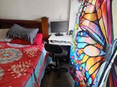 Busco roomate, Lagunilla Las flores