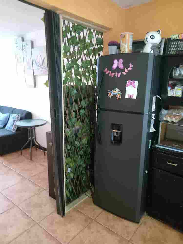 Busco roomate, Lagunilla Las flores