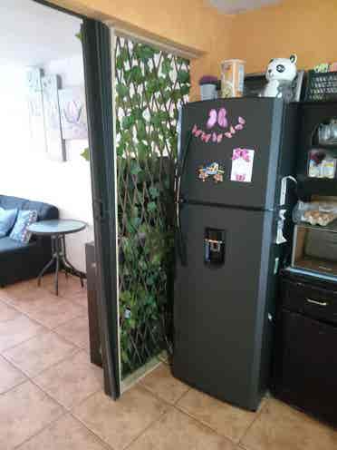 Busco roomate, Lagunilla Las flores