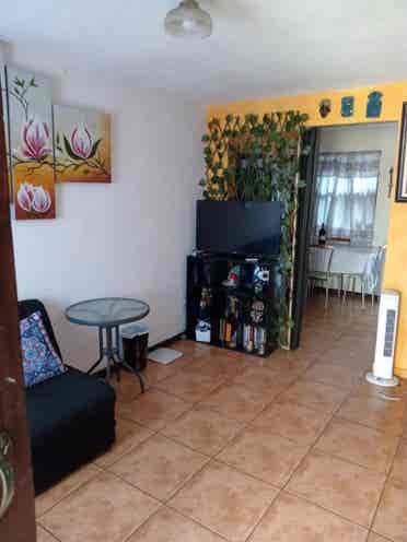 Busco roomate, Lagunilla Las flores