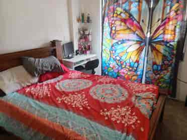 Busco roomate, Lagunilla Las flores