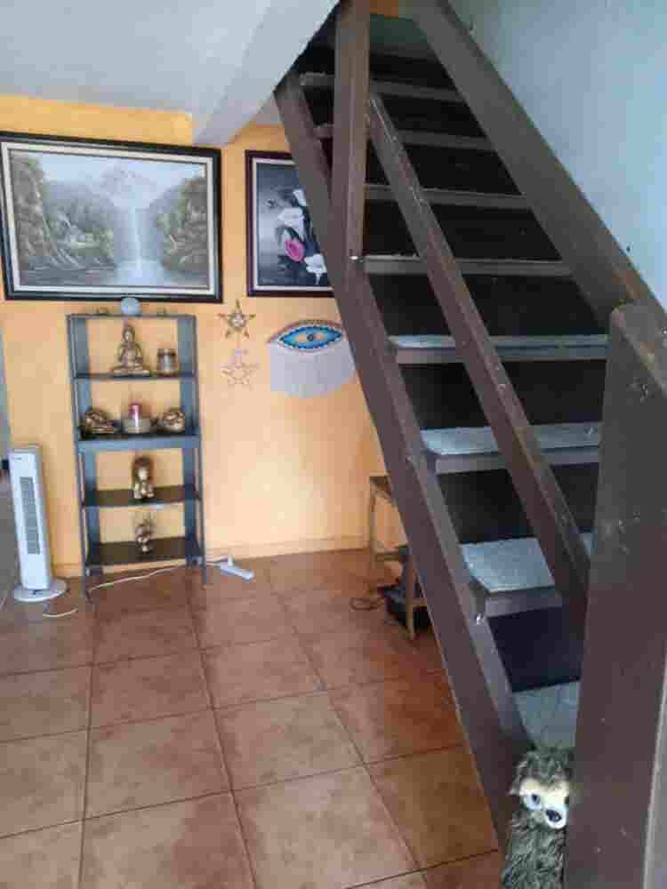 Busco roomate, Lagunilla Las flores