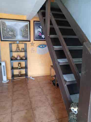 Busco roomate, Lagunilla Las flores