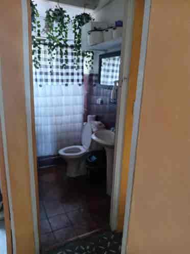 Busco roomate, Lagunilla Las flores
